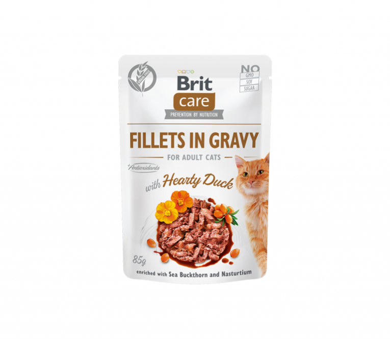 Brit-Care-Cat-konservai-katems-Fillets-in-Gravy-Hearty-Duck-85-g.png