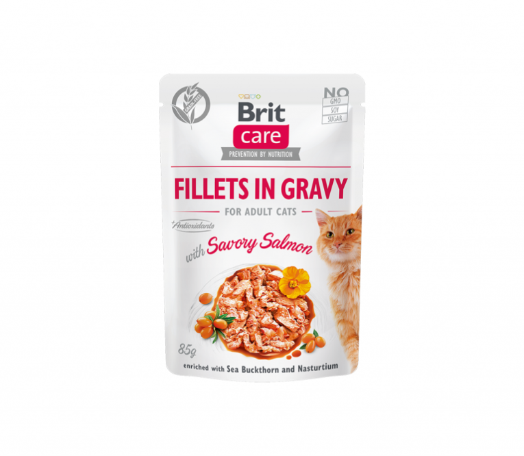 Brit-Care-Cat-konservai-katems-Fillets-in-Gravy-Savory-salmon-85-g.png